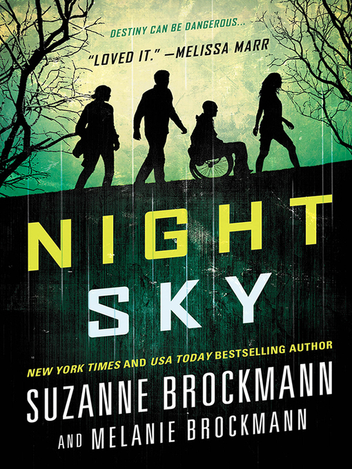 Title details for Night Sky Series, Book 1 by Suzanne Brockmann - Available
